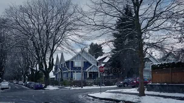 Cars And Truck Pass Through Suburbs — Stock Video