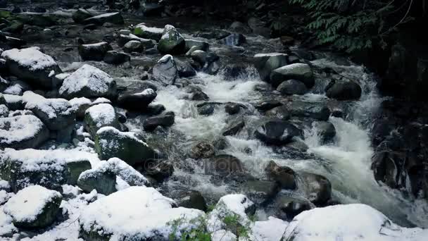 Río rocoso de montaña — Vídeo de stock