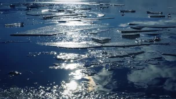 Fogli di ghiaccio galleggianti sull'acqua . — Video Stock