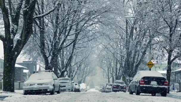 Bilar i förorter i vinter. — Stockvideo