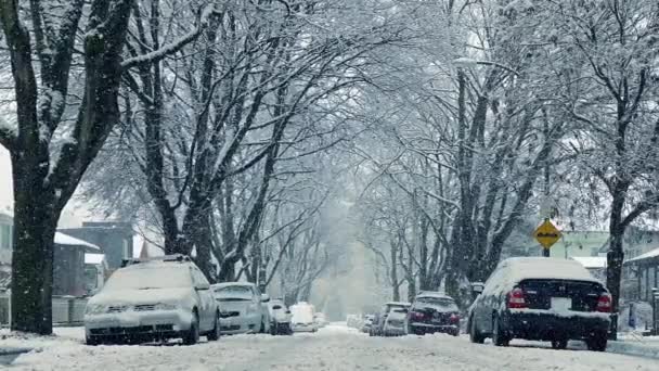 Neve caindo na estrada por casas — Vídeo de Stock