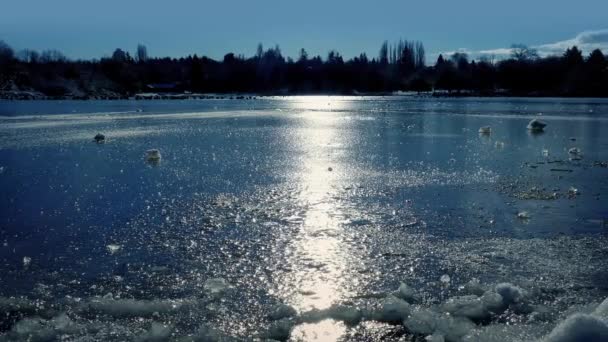 Spostamento attraverso il lago congelato il giorno soleggiato — Video Stock