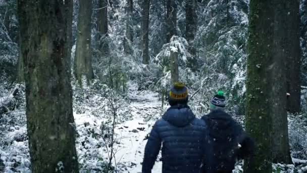Mensen lopen door bos In sneeuwval — Stockvideo