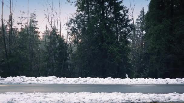 Bilar som passerar på snöiga vägen genom skogen — Stockvideo