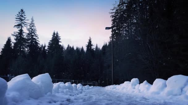 Über verschneiten Pfad durch Park — Stockvideo