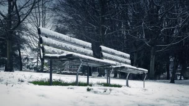 Двигаясь мимо скамеек в парке во время снегопада — стоковое видео