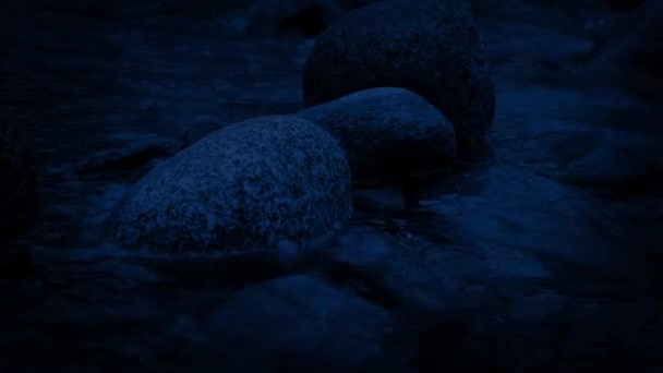 Рухаючись уздовж річки вночі — стокове відео