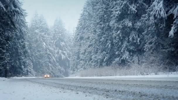 Coches conducen a través del bosque en tormenta de nieve — Vídeos de Stock