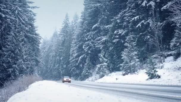 Autók téli autópályán a hóviharban — Stock videók