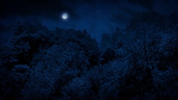 Árboles grandes del bosque con la luna encima — Vídeos de Stock