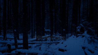 Kar yağışı gece ormanda hareket