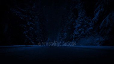 Ormanda kar yağışı gece yolda