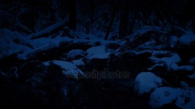 Geçen gece kar yağışı orman nehirde