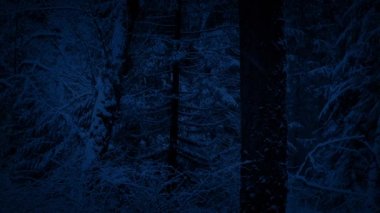 Gece düşen kar kış ormanı