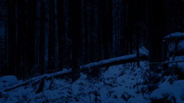 Gece geçen Snowy orman yamaç