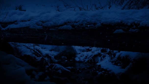 Pasando el arroyo en la nieve por la noche — Vídeo de stock