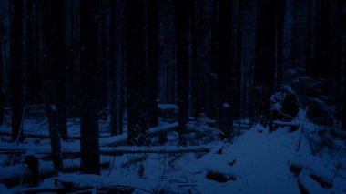 Kar yağışı gece ormanda hareket