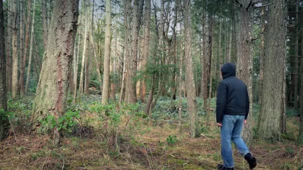 Pessoa caminha através da floresta — Vídeo de Stock