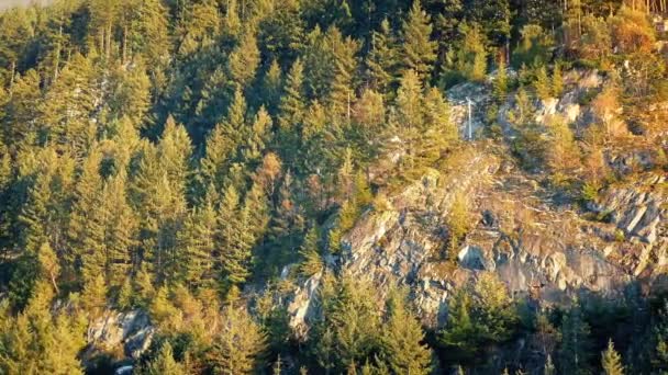 Förbigående skogsklädda bergssidan i solnedgången — Stockvideo