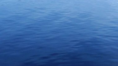 Sakin su yüzey üzerinde hareket