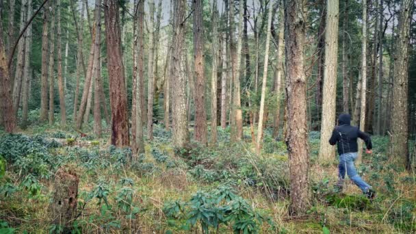 La personne court à travers le bois — Video