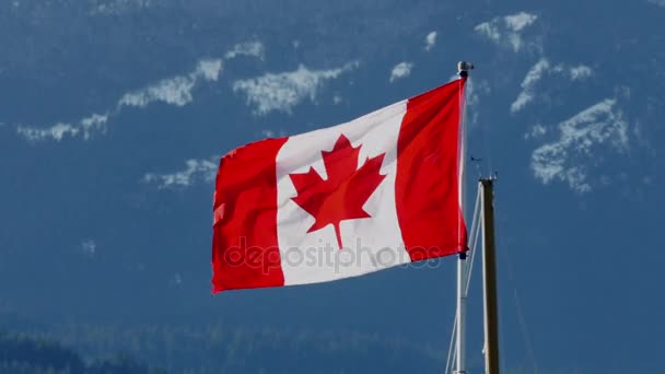 Bandeira canadense soprando no vento — Vídeo de Stock