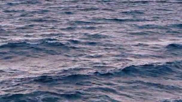 Oceaangolven bij zonsondergang — Stockvideo