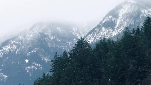 Tempête de neige dans le désert de montagne — Video