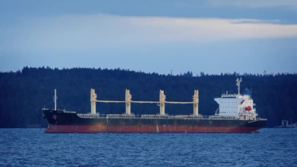 Tanker v zálivu při západu slunce — Stock video