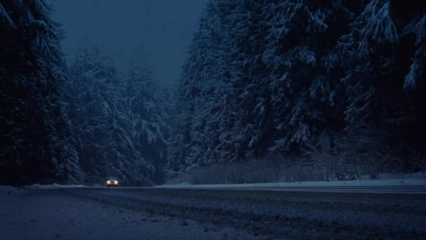 Autos fahren am Abend durch Schneesturm — Stockvideo