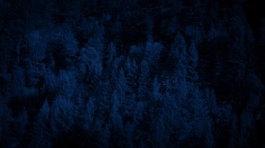 Karanlıkta geçen ormanlık dağın