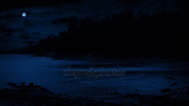 Playa cala a la luz de la luna — Vídeo de stock