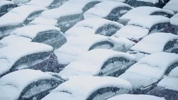 Carros cobertos de neve na nevasca — Vídeo de Stock