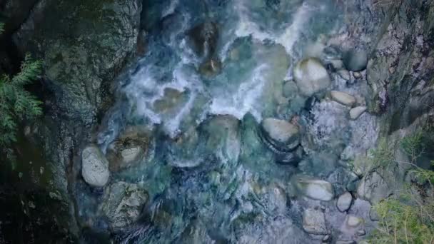 Blick auf den Fluss in der Wildnis — Stockvideo