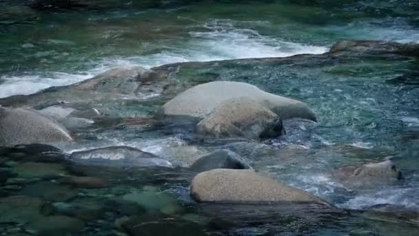 Amplio río de montaña — Vídeos de Stock