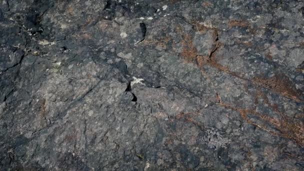Déplacement de la surface du rocher passé — Video