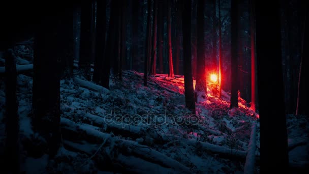 Mannen med Flare klättrar skogen sluttningen i snöfall — Stockvideo