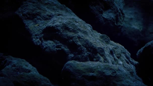 Stenar under vattnet med porlande ljusstrålar — Stockvideo