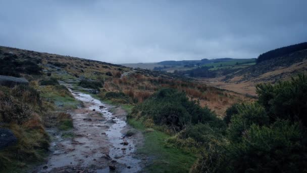 Accidentado camino en Moorland ventoso — Vídeo de stock