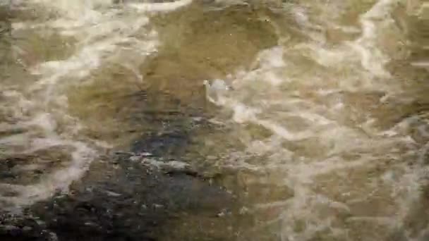 Eau de rivière sombre moussant — Video
