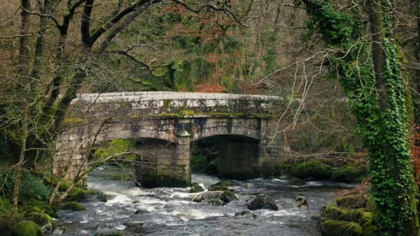 Stone Bridge vahşi kırsal kesimde — Stok video