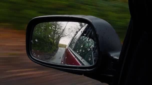 Wing Mirror Driving In and Out Of Woods — стоковое видео