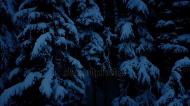 Geceleri karlı Woodland taşıma