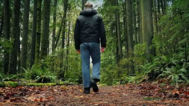 L'homme marche sur le chemin à travers la forêt — Video