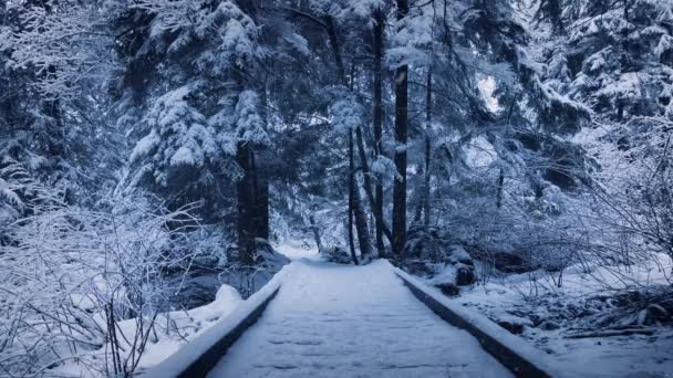 Trä gångväg genom parken begravd i snö — Stockvideo