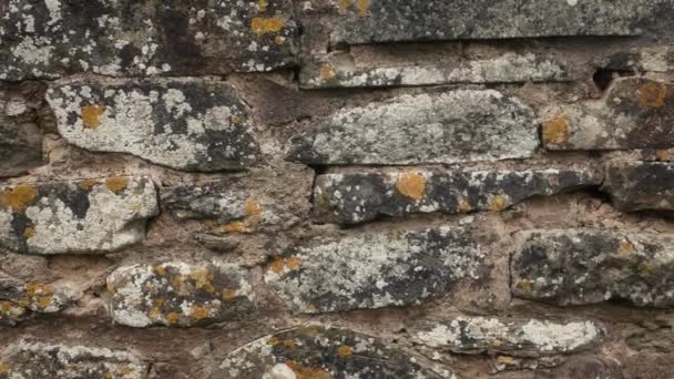 Pasando viejo muro de piedra envejecido — Vídeo de stock