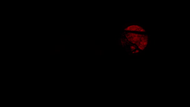 Προχωρώντας κάτω από τα δέντρα με αίμα κόκκινο φεγγάρι από πάνω — Αρχείο Βίντεο