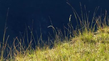 Çimenli dağ güneş