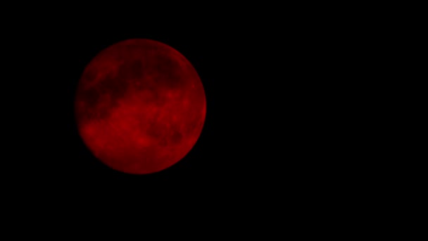 Roter Mond bei bewölkter Nacht Nahaufnahme — Stockvideo