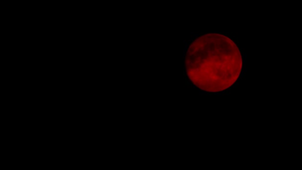 Rode maan op bewolkte nacht — Stockvideo